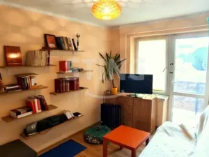 Prodej bytu 3+1, Opava, U Lávky, 68 m2