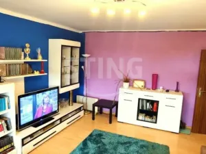 Prodej bytu 3+1, Opava, U Lávky, 68 m2