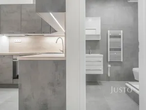 Pronájem bytu 1+1, Praha - Žižkov, Krásova, 32 m2