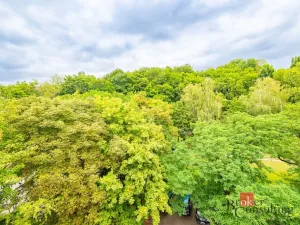 Pronájem bytu 1+kk, Praha - Střešovice, Na Petynce, 38 m2