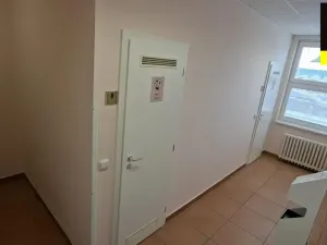 Pronájem ordinace, Opava - Předměstí, Těšínská, 140 m2