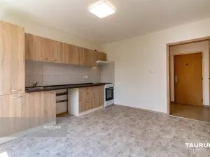 Prodej bytu 1+1, Plzeň - Skvrňany, Macháčkova, 36 m2