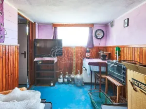 Prodej chaty, Písek - Budějovické Předměstí, 18 m2