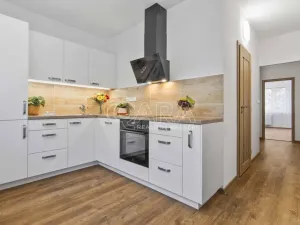 Pronájem bytu 2+1, Ústí nad Labem - Severní Terasa, Kmochova, 60 m2