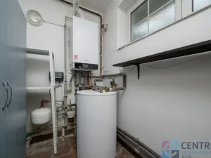 Prodej rodinného domu, Rádlo, 190 m2