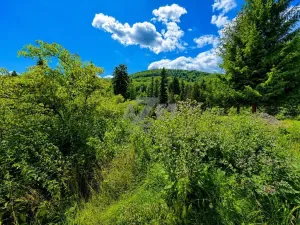 Prodej chaty, Košařiska, 70 m2