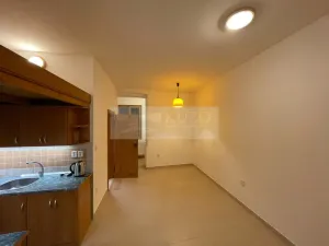Pronájem bytu 1+kk, Plzeň - Jižní Předměstí, Borská, 30 m2