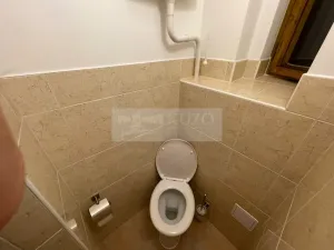 Pronájem bytu 1+kk, Plzeň - Jižní Předměstí, Borská, 30 m2