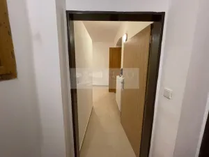 Pronájem bytu 1+kk, Plzeň - Jižní Předměstí, Borská, 30 m2