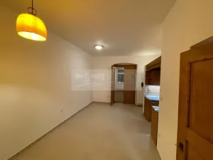 Pronájem bytu 1+kk, Plzeň - Jižní Předměstí, Borská, 30 m2