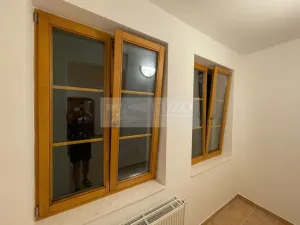 Pronájem bytu 1+kk, Plzeň - Jižní Předměstí, Borská, 30 m2