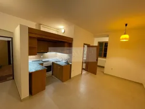 Pronájem bytu 1+kk, Plzeň - Jižní Předměstí, Borská, 30 m2