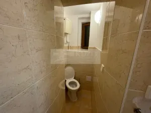 Pronájem bytu 1+kk, Plzeň - Jižní Předměstí, Borská, 30 m2