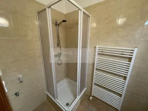 Pronájem bytu 1+kk, Plzeň - Jižní Předměstí, Borská, 30 m2