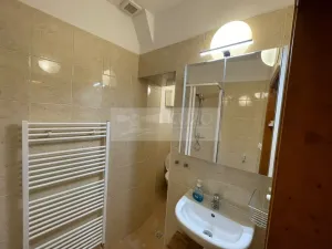 Pronájem bytu 1+kk, Plzeň - Jižní Předměstí, Borská, 30 m2