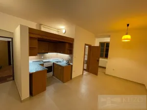 Pronájem bytu 2+kk, Plzeň - Jižní Předměstí, Borská, 45 m2