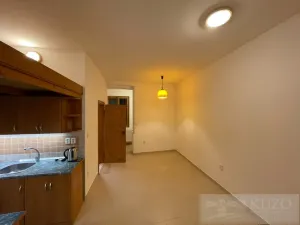 Pronájem bytu 2+kk, Plzeň - Jižní Předměstí, Borská, 45 m2