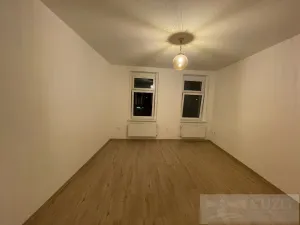 Pronájem bytu 2+kk, Plzeň - Jižní Předměstí, Borská, 45 m2