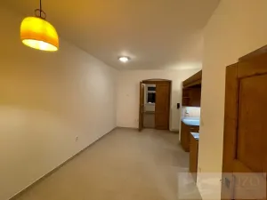 Pronájem bytu 2+kk, Plzeň - Jižní Předměstí, Borská, 45 m2