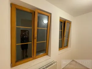 Pronájem bytu 2+kk, Plzeň - Jižní Předměstí, Borská, 45 m2