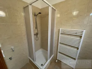 Pronájem bytu 2+kk, Plzeň - Jižní Předměstí, Borská, 45 m2