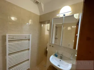 Pronájem bytu 2+kk, Plzeň - Jižní Předměstí, Borská, 45 m2