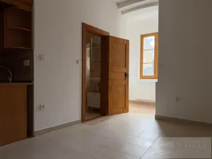 Pronájem bytu 2+kk, Plzeň - Jižní Předměstí, Borská, 50 m2