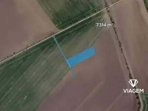 Prodej podílu pole, Třibřichy, 471 m2