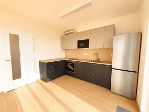 Pronájem bytu 3+kk, Praha - Řeporyje, Haenkeho, 74 m2
