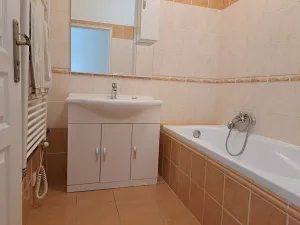Pronájem bytu 2+kk, Hradec Králové, Škroupova, 50 m2