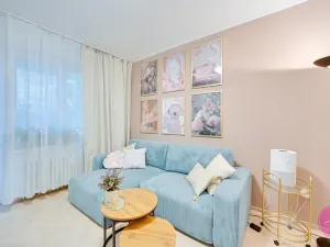Prodej bytu 2+1, Olomouc, Foerstrova, 58 m2