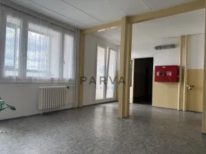 Prodej bytu 1+kk, Plzeň - Jižní Předměstí, U Borského parku, 21 m2