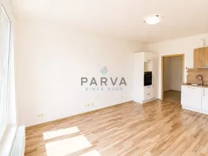 Pronájem bytu 1+kk, Plzeň - Jižní Předměstí, Nemocniční, 30 m2
