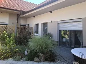 Pronájem bytu 2+kk, Velké Pavlovice, Hlavní, 50 m2