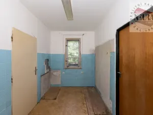 Prodej bytu 4+1, Praha - Košíře, V břízkách, 119 m2