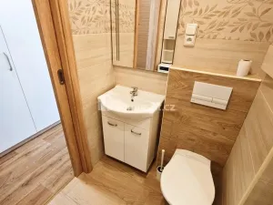 Pronájem bytu 1+1, Děčín - Děčín IX-Bynov, Na Pěšině, 35 m2