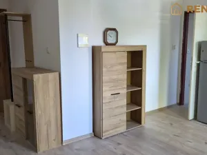 Pronájem bytu 1+kk, Olomouc, Teichmannova, 35 m2
