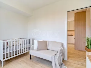 Prodej bytu 3+kk, Ostrava - Poruba, Aleše Hrdličky, 41 m2