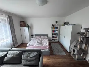 Pronájem bytu 1+1, Jihlava, Hálkova, 39 m2
