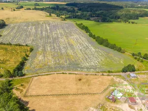 Prodej pozemku pro bydlení, Františkovy Lázně - Krapice, 1021 m2