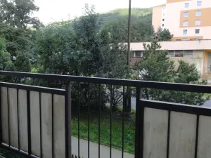 Prodej bytu 1+1, Krupka - Maršov, Karla Čapka, 36 m2