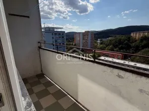 Prodej bytu 1+kk, Chomutov, Havlíčkova, 24 m2