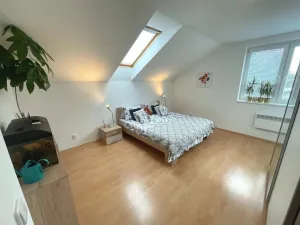 Pronájem rodinného domu, Trnová, 250 m2