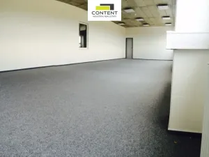 Pronájem výrobních prostor, Velká Bíteš - Košíkov, 10000 m2