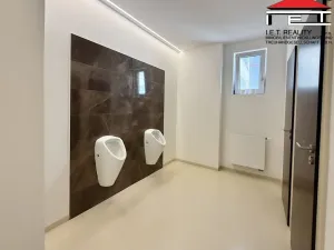 Pronájem kanceláře, Brno, Moravské náměstí, 30 m2