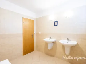 Pronájem bytu 4+1, České Budějovice - České Budějovice 2, Lipová, 96 m2