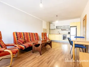 Pronájem bytu 1+1, České Budějovice - České Budějovice 2, Na Zlaté stoce, 45 m2