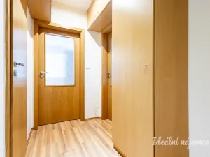 Pronájem bytu 1+1, České Budějovice - České Budějovice 2, Na Zlaté stoce, 45 m2