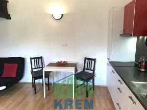 Pronájem bytu 1+kk, Horoměřice, Kolmá, 30 m2