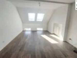 Pronájem bytu 4+1, Cheb, Evropská, 163 m2
